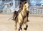 rodeo_293597_03.jpg