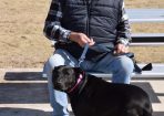 standog_291543_02.JPG