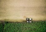farm_242263_01.jpg