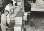 killarcoop_303302_13.jpg