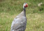 judy_307894_03.JPG