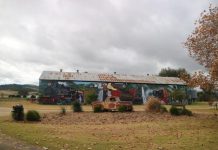 Country Fair a sight to see