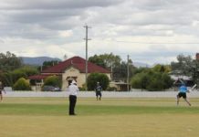 Mullets stun the opposition again