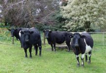 Fires too close for comfort