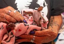 A life of caring at Maryvale