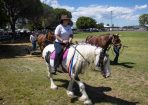 HHorseFest_325084_02.JPG