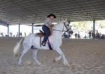 HHorseFest_325084_11.JPG