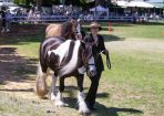 HHorseFest_325084_19.JPG