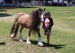 HHorseFest_325084_20.JPG