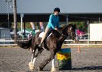 HHorseFest_325084_44.JPG