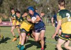 Footy_330929_39.JPG