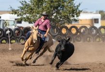 Sports around the region