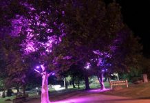 Purple places raise awareness