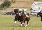 Polocrosse_332304_13.JPG