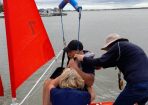 Sailabilit_333540_02.jpg
