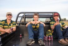 Plenty to cheer about for Warriors fans