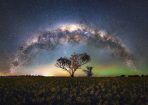 slmilky_331599_02.jpg