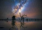 slmilky_331599_05.jpg