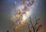 slmilky_331599_07.jpg
