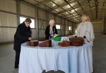 Fruit cake perfection