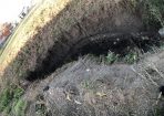 Homestead_340686_02.JPG