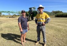 Look up and live on the land