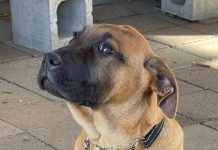 Little Meg a true beauty