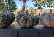 Record ag sector valuation