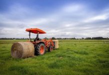 10 things to know from the Queensland Farmers Federation