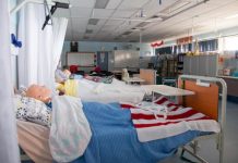 Growing careers and creating opportunities