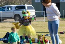 Green and gold for the Tillies