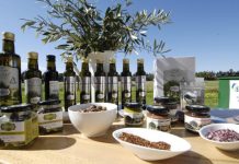 Help stop food tax: MP