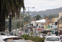 Rare rentals snapped up