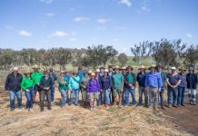 Doing the dirty work