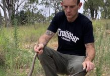 Warmer weather prompts snake safety reminder