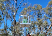 Pratten’s vital role in BOM flood monitoring