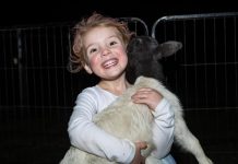 The frightful fete of St Patty’s