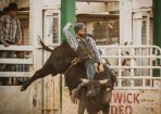 rodeo_363852_05.jpg