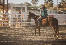 Your chance to win $35k at the Rodeo