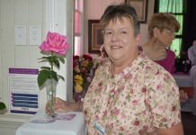 Stop and smell the rose festival