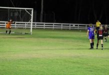 Honouring a champion of the game