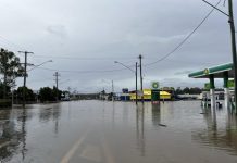 Flood victims urged to shed light on insurance fallout