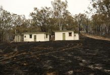 Find support and assistance after the fires