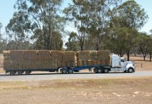 High demand for hay