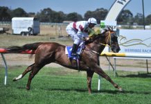 The king, the rascal