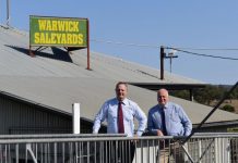 $7m saleyards revamp
