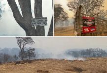 4WD park bounces back