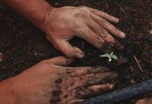 Improving valuations of rural land with carbon farming projects