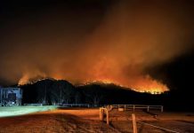 The view from near Long Neck Farm: Six days of burning