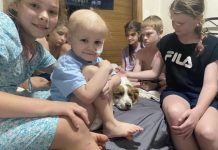 Family’s Christmas wish